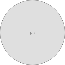 秋のコレクションメイン画像